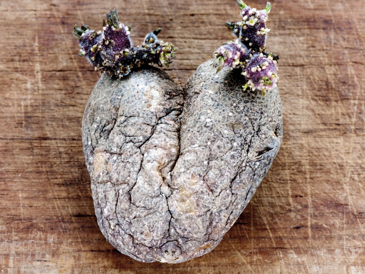 Are You Out of&nbsp;Touch?